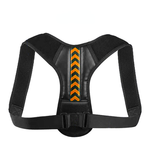 AlignSpine Posture Support Belt